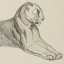 Gaston SUISSE (1896-1988) - Panthère couchée. 1931.